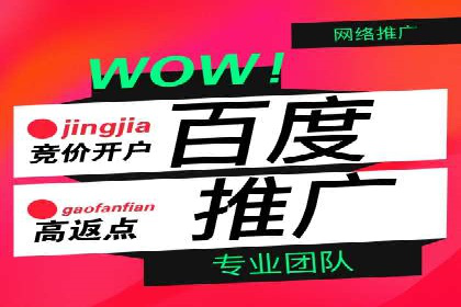 提升网站流量：SEO在百度推广的实战案例